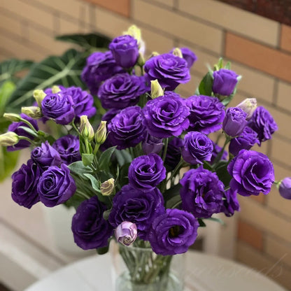 🔥🌺Low-maintenance Eustoma Flower Seeds🌈