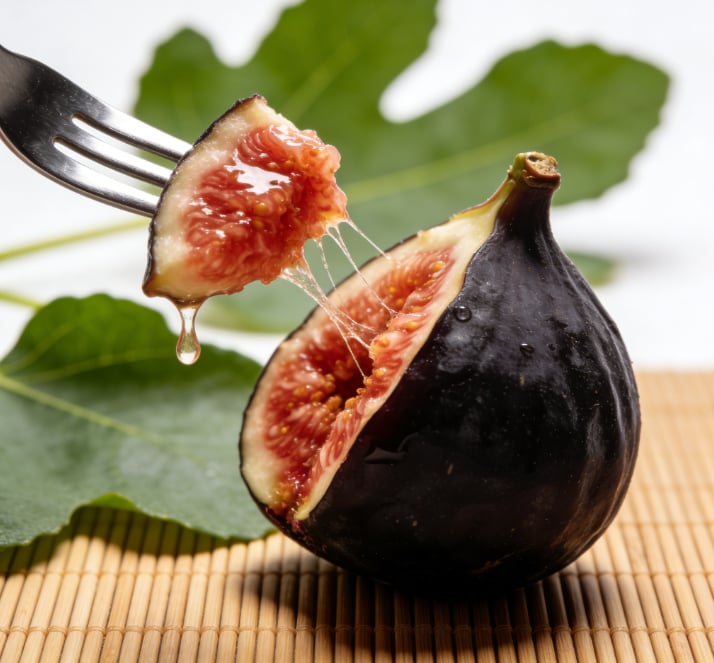 🌿Mission Fig Tree Live Plant Seeds – Easy to grow on your porch and balcony at home