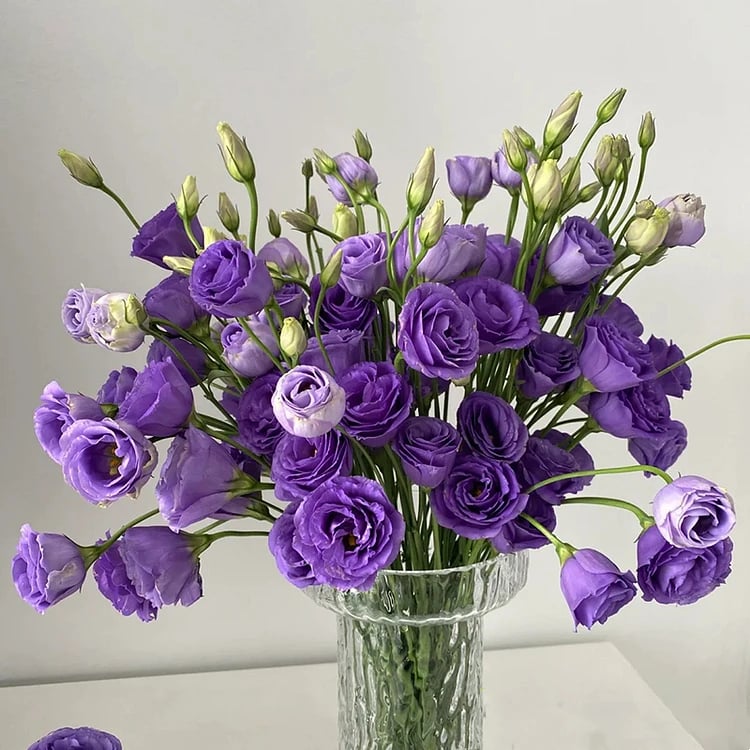 🔥🌺Low-maintenance Eustoma Flower Seeds🌈
