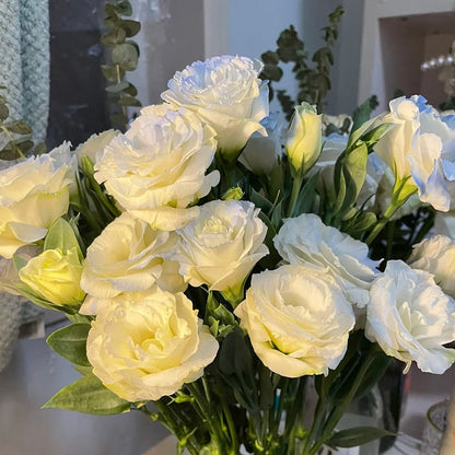 🔥🌺Low-maintenance Eustoma Flower Seeds🌈