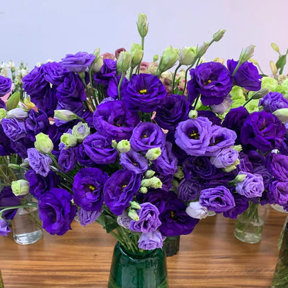🔥🌺Low-maintenance Eustoma Flower Seeds🌈