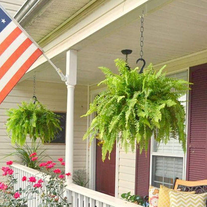 🌱 UV-Resistant Lifelike Artificial Boston Fern